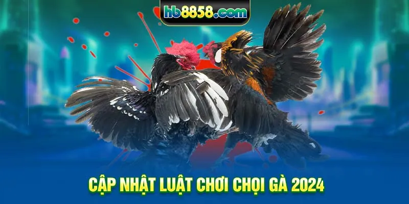 cap-nhat-luat-choi-choi-ga-2024