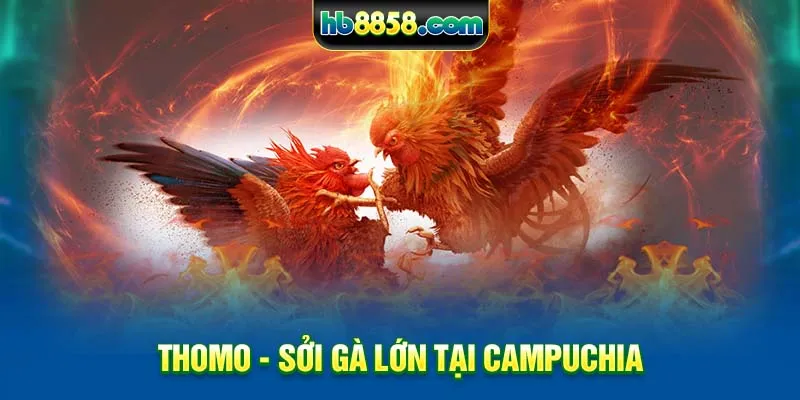 Thomo- Sởi gà lớn tại Campuchia