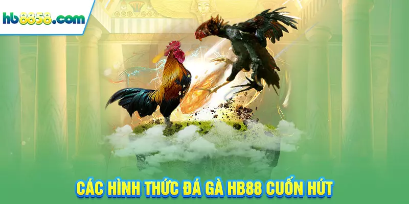 Các hình thức đá gà HB88 cuốn hút